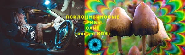 стаф Нязепетровск