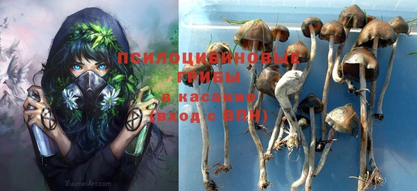метадон Устюжна