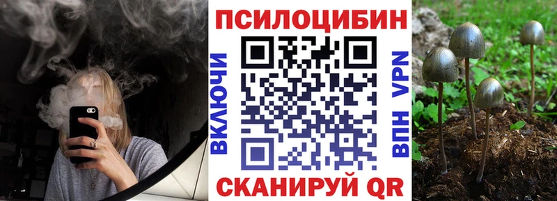 как найти   Семикаракорск  Псилоцибиновые грибы Magic Shrooms 